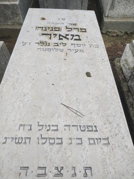 תמונת מצבה