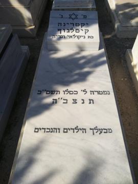 תמונת מצבה