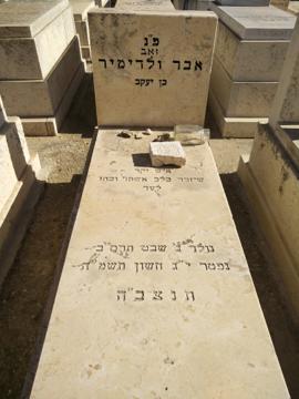 תמונת מצבה