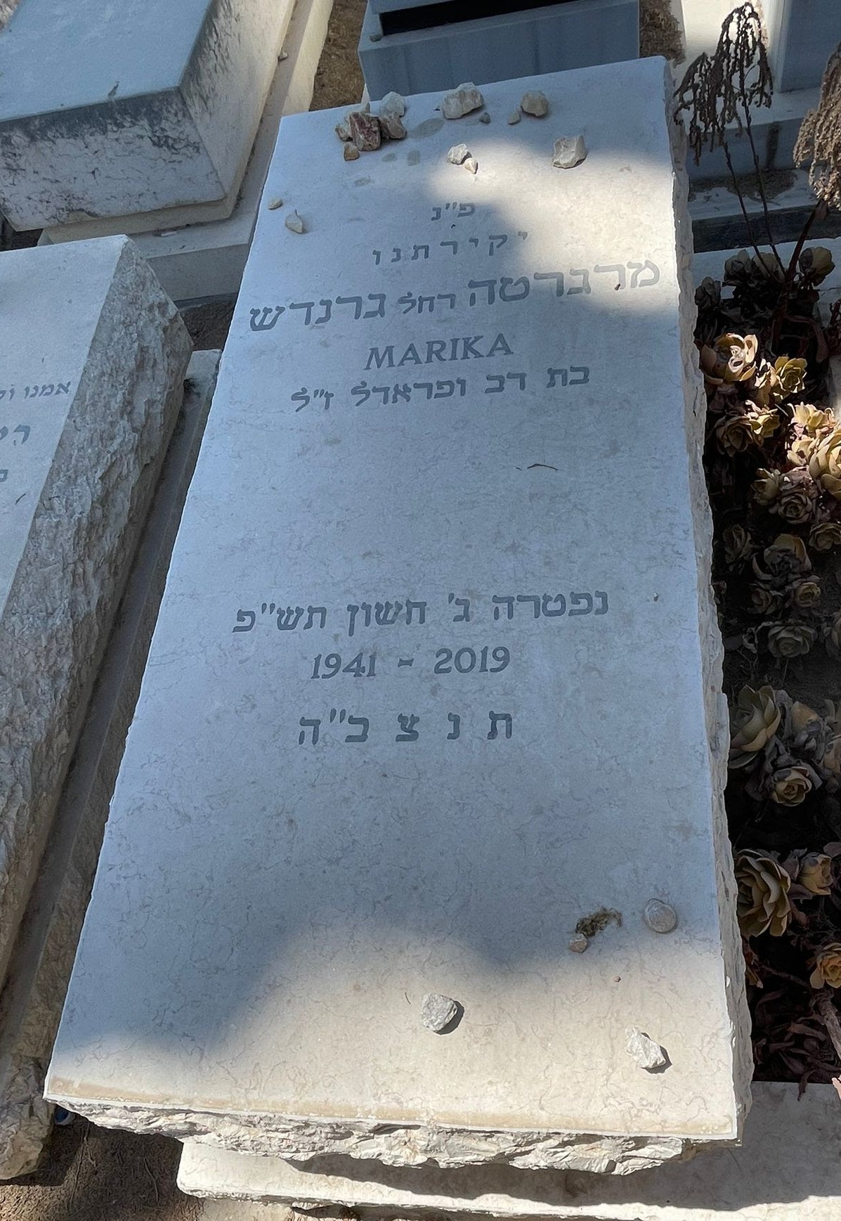 תמונת מצבה