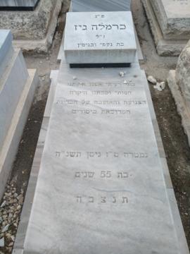 תמונת מצבה