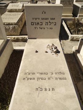 תמונת מצבה
