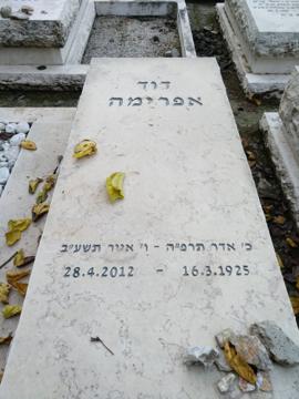 תמונת מצבה