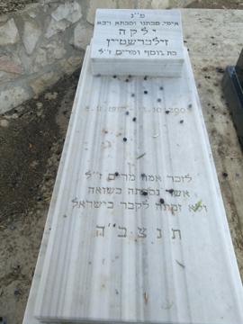 תמונת מצבה