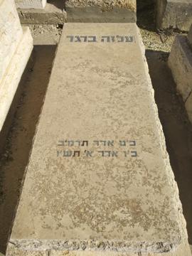 תמונת מצבה