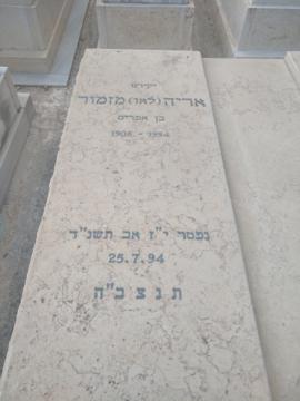 תמונת מצבה