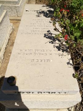תמונת מצבה