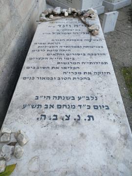 תמונת מצבה