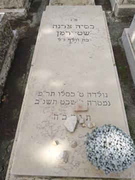 תמונת מצבה