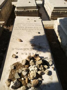 תמונת מצבה