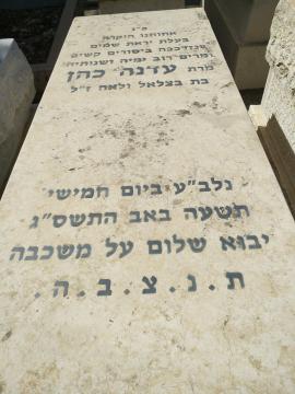 תמונת מצבה