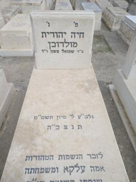תמונת מצבה