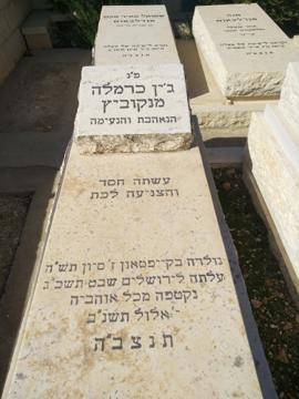 תמונת מצבה
