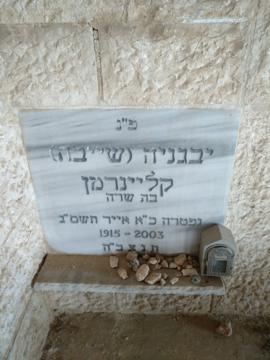 תמונת מצבה