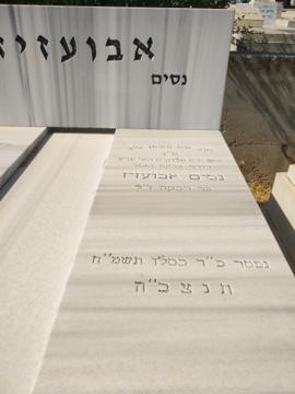 תמונת מצבה