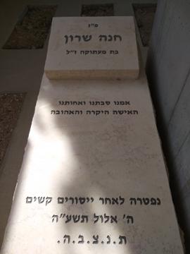 תמונת מצבה
