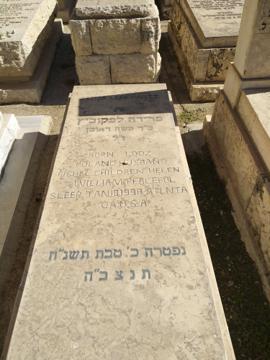 תמונת מצבה