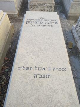 תמונת מצבה