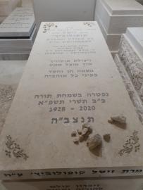 תמונת מצבה