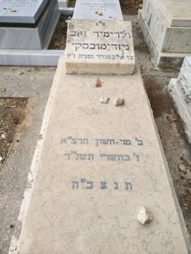 תמונת מצבה