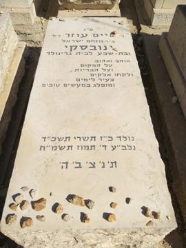 תמונת מצבה