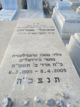 תמונת מצבה