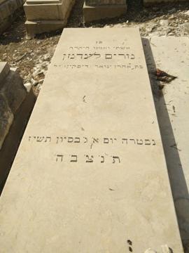 תמונת מצבה