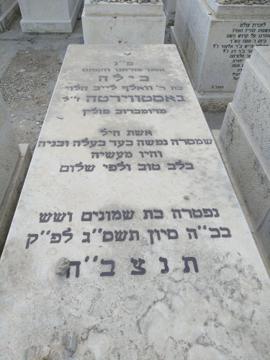 תמונת מצבה