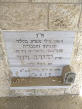 תמונת מצבה