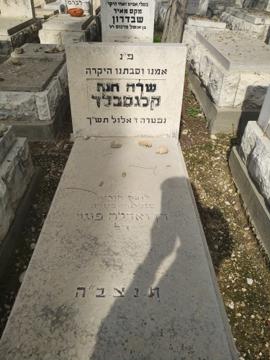 תמונת מצבה