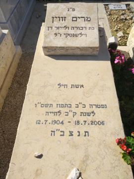 תמונת מצבה