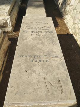 תמונת מצבה