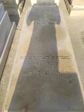 תמונת מצבה