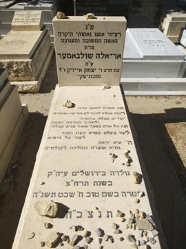 תמונת מצבה