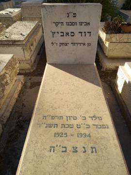 תמונת מצבה