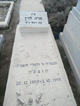 תמונת מצבה
