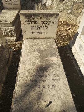 תמונת מצבה