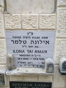 תמונת מצבה