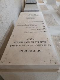 תמונת מצבה