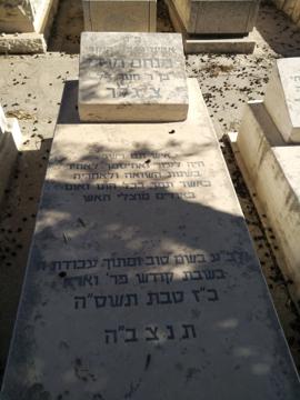 תמונת מצבה