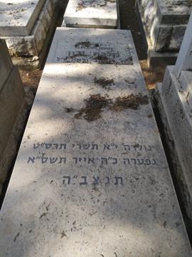 תמונת מצבה