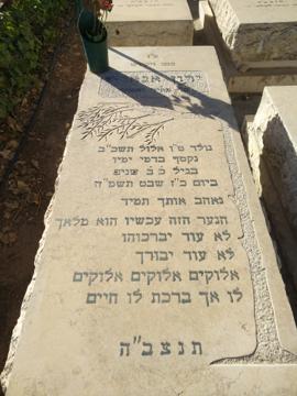 תמונת מצבה