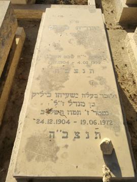 תמונת מצבה