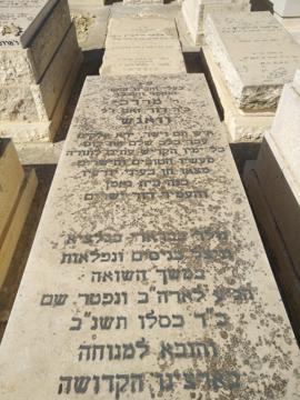 תמונת מצבה