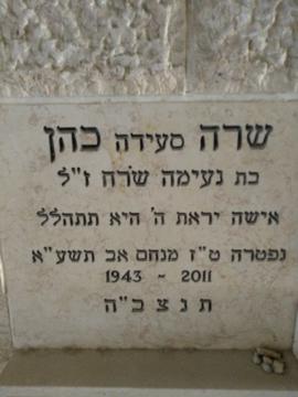 תמונת מצבה