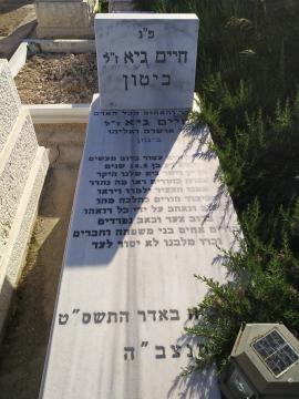 תמונת מצבה