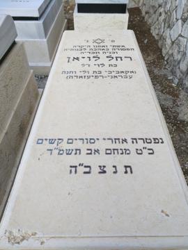 תמונת מצבה