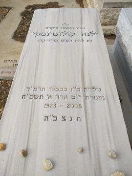 תמונת מצבה