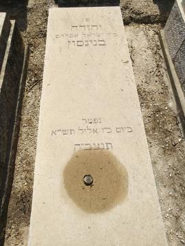 תמונת מצבה