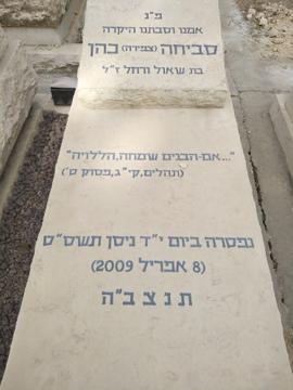 תמונת מצבה